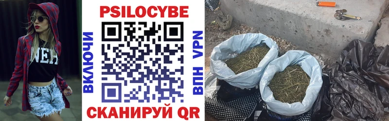 Галлюциногенные грибы GOLDEN TEACHER  Грозный 